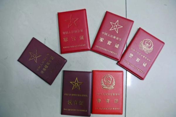 白菜平台大全